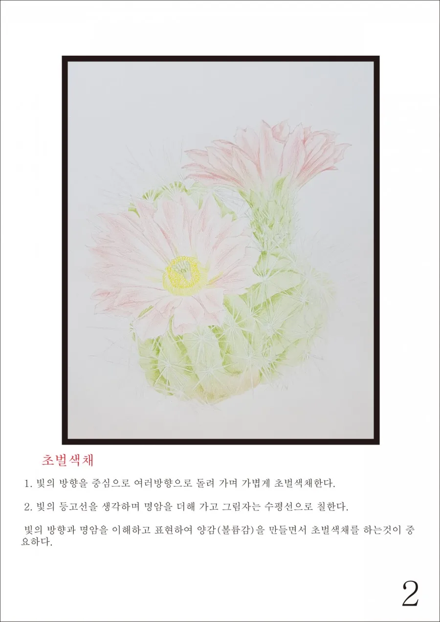 보태니컬 아트 ㅡ그리는방법 2 naver 195c2195466f