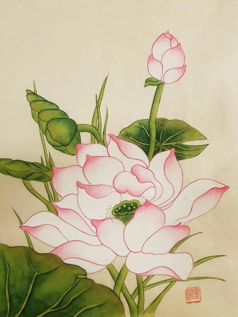 연꽃 사진모음 27 naver 4db8fcbf6d8a