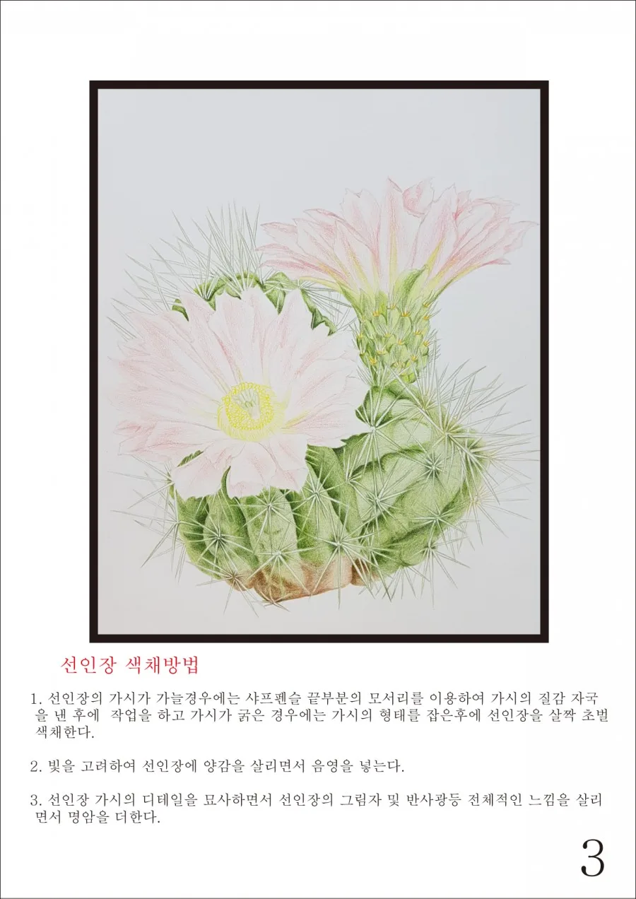 보태니컬 아트 ㅡ그리는방법 3 naver 6dbf05b5ce7e