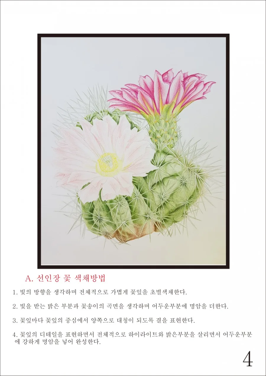 보태니컬 아트 ㅡ그리는방법 4 naver 820915339bc2