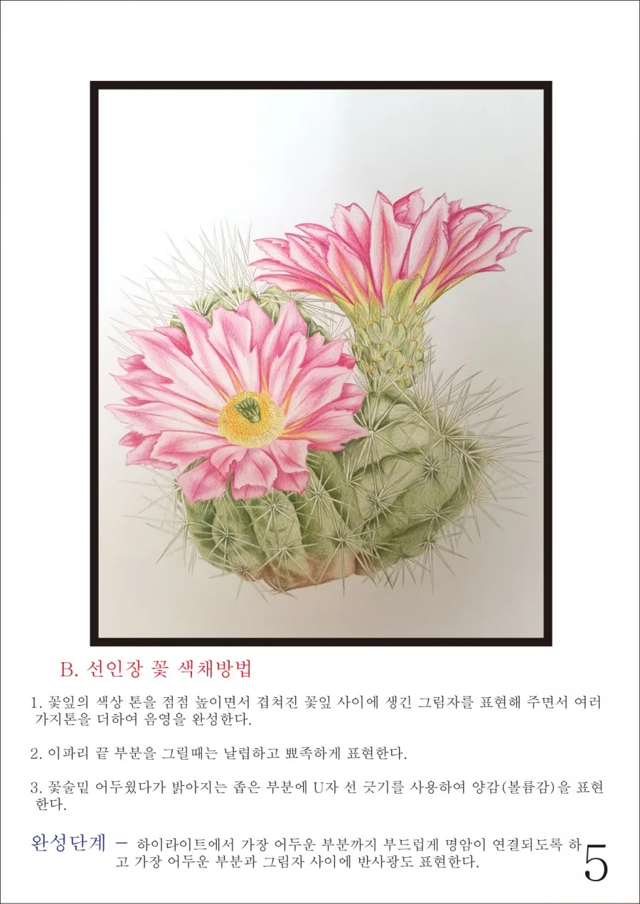 보태니컬 아트 ㅡ그리는방법 5 naver 99982d4bfcfc