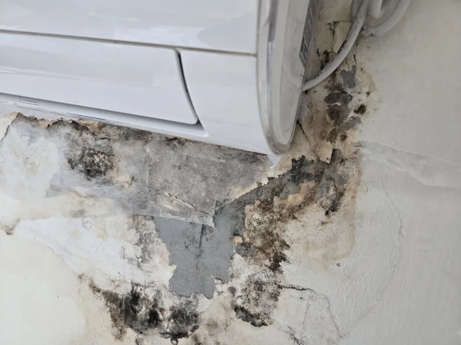 2025년11월19일 동백 원룸 도배시공완료 5 naver c3b0ee3aeb94