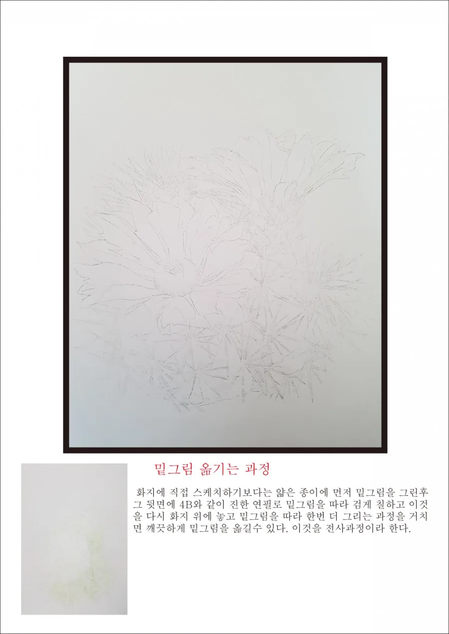 보태니컬 아트 ㅡ그리는방법 1 naver de81d348717b